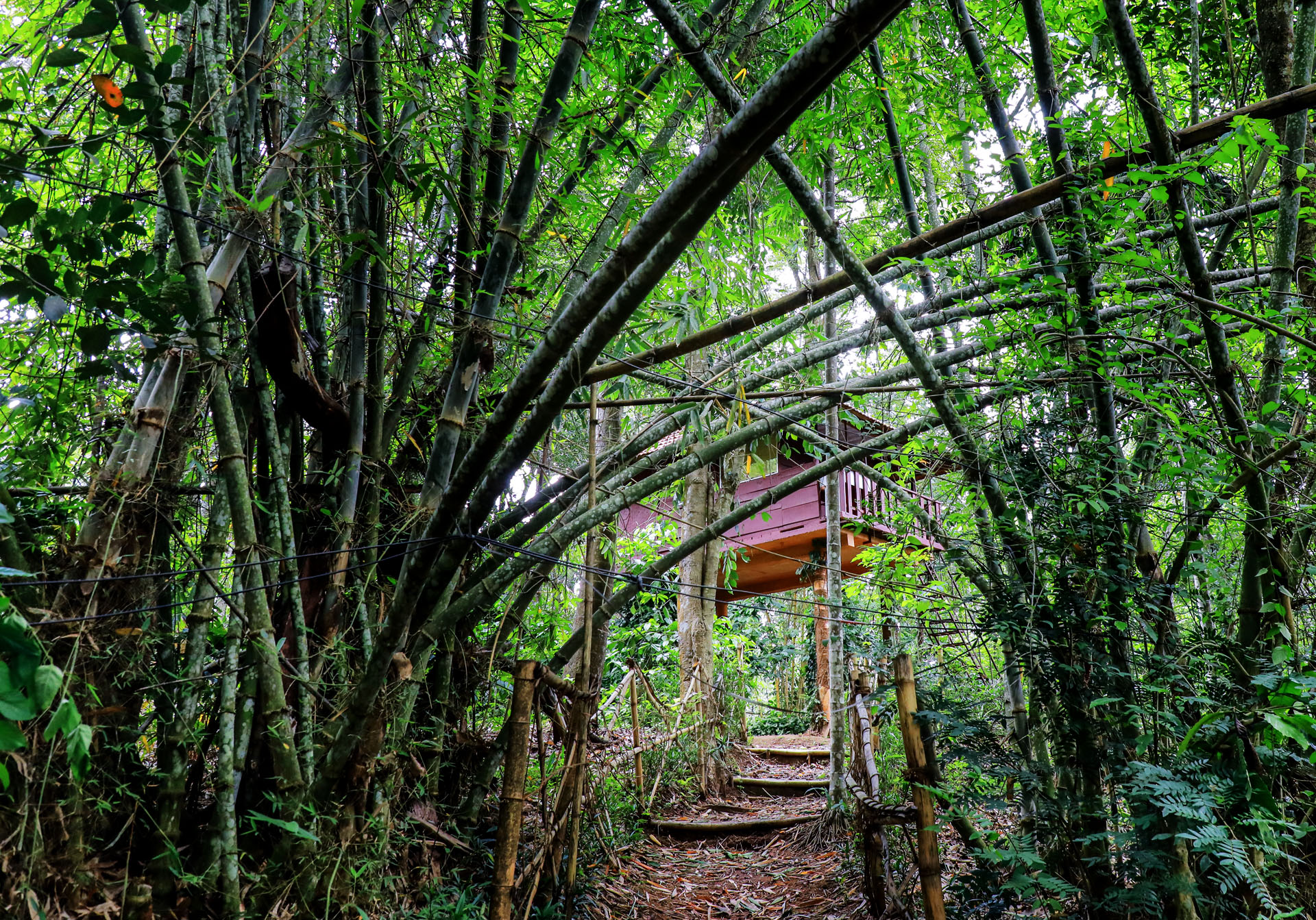 Resort Bamboo Walkway & Treehouse2