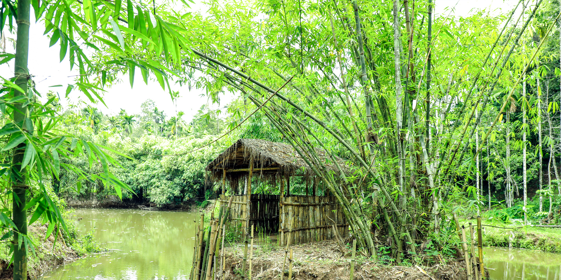 Resort Bamboo Tree & Hut